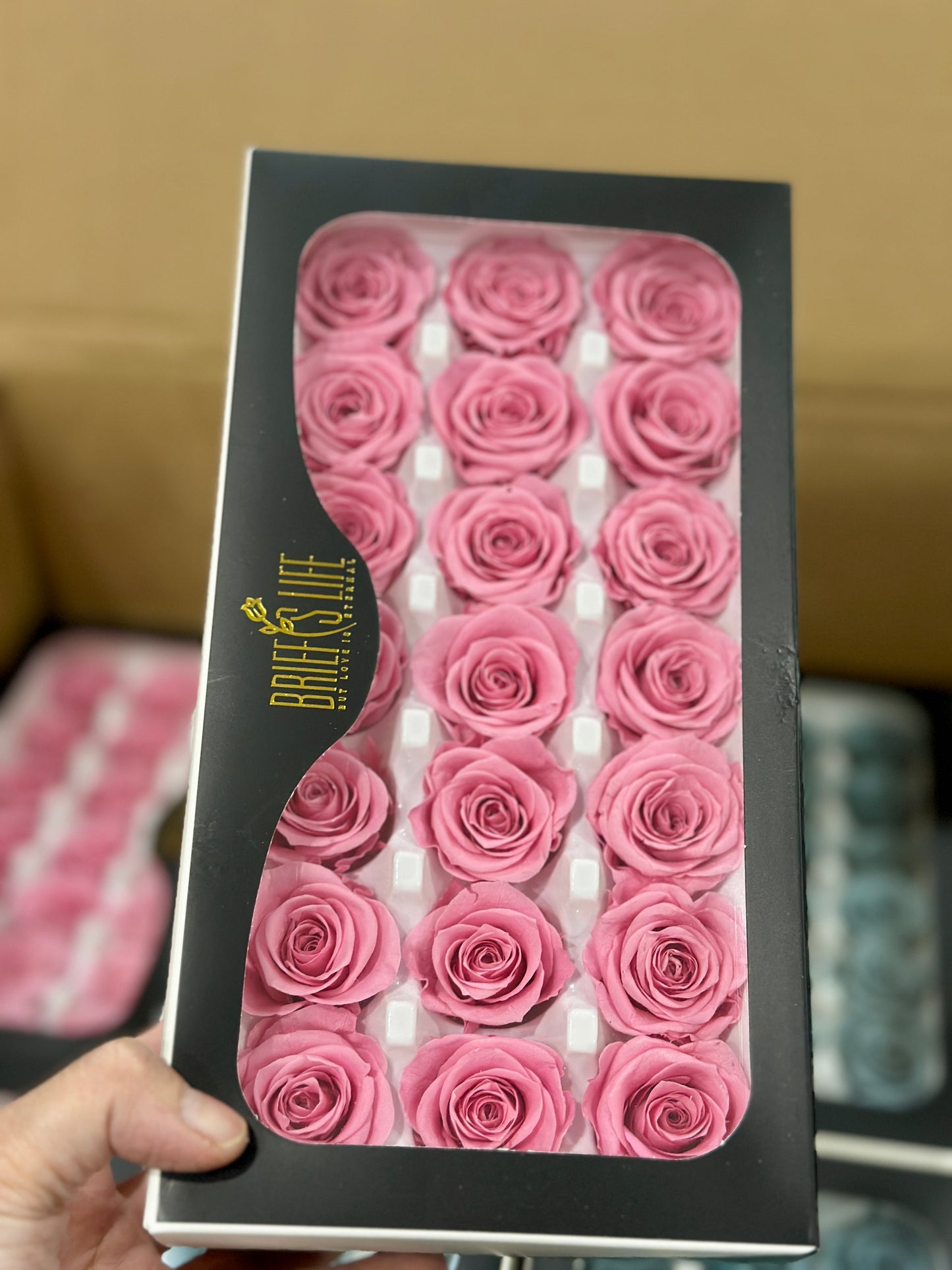 Preserved Roses - 21 pieces