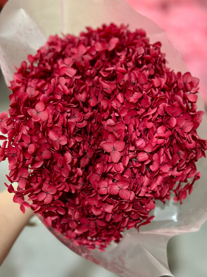 Anna Hydrangeas Big Bunch
