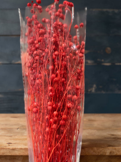 Preserved Flowers Rich Bean