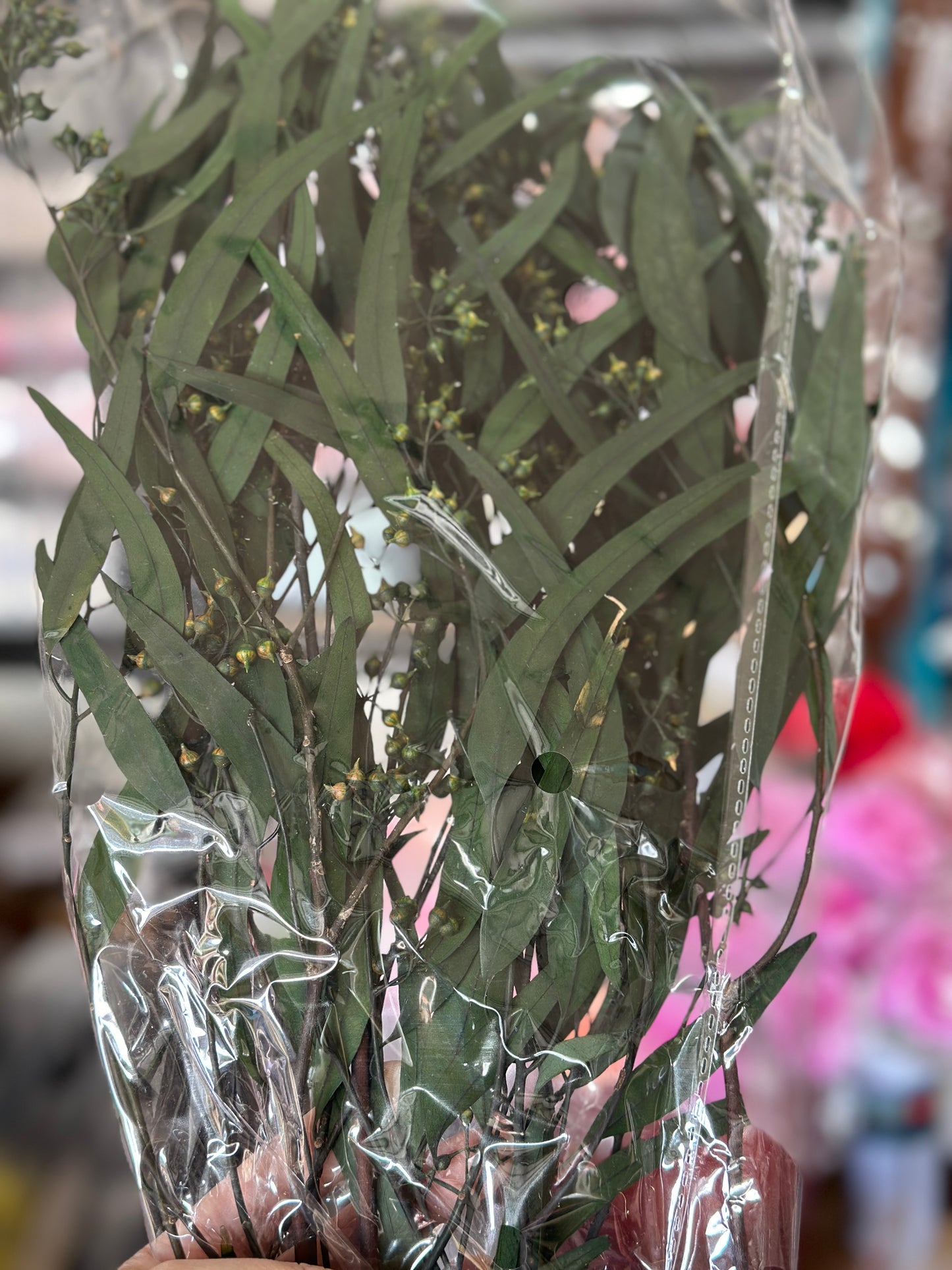 Preserved Eucalyptus Willow Leaves