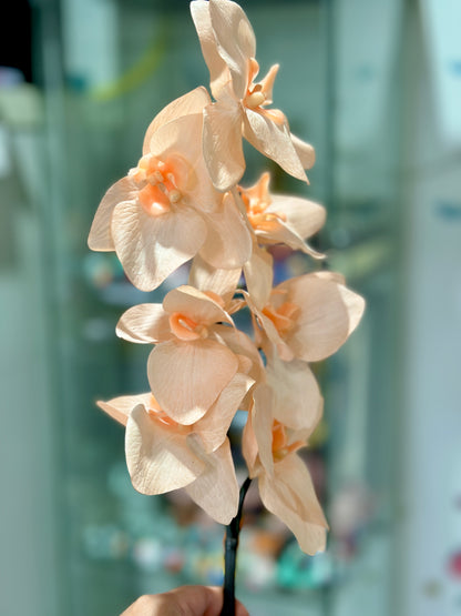 High Quality Real Touch Orchids