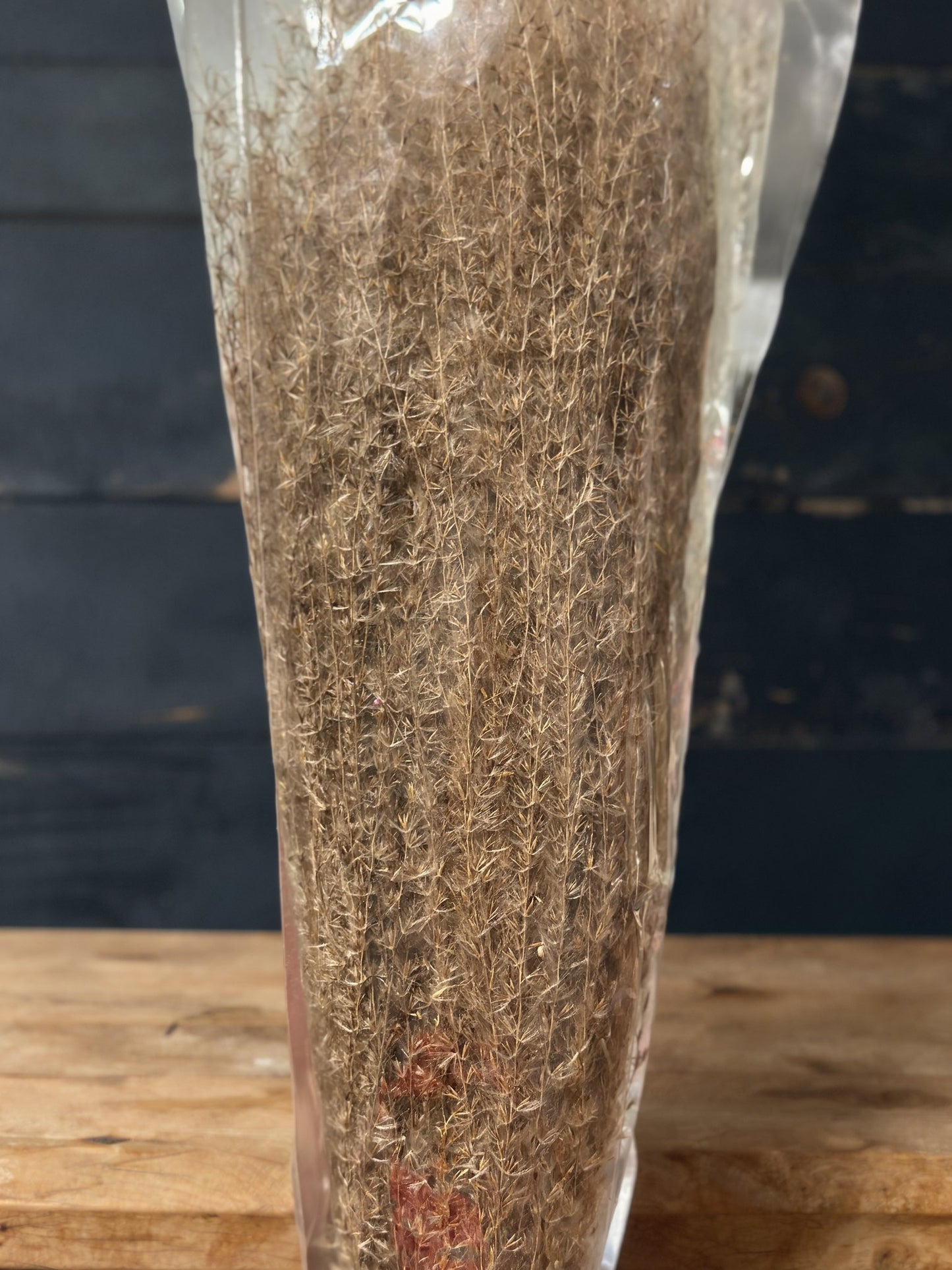 Horsetails/ Whisk