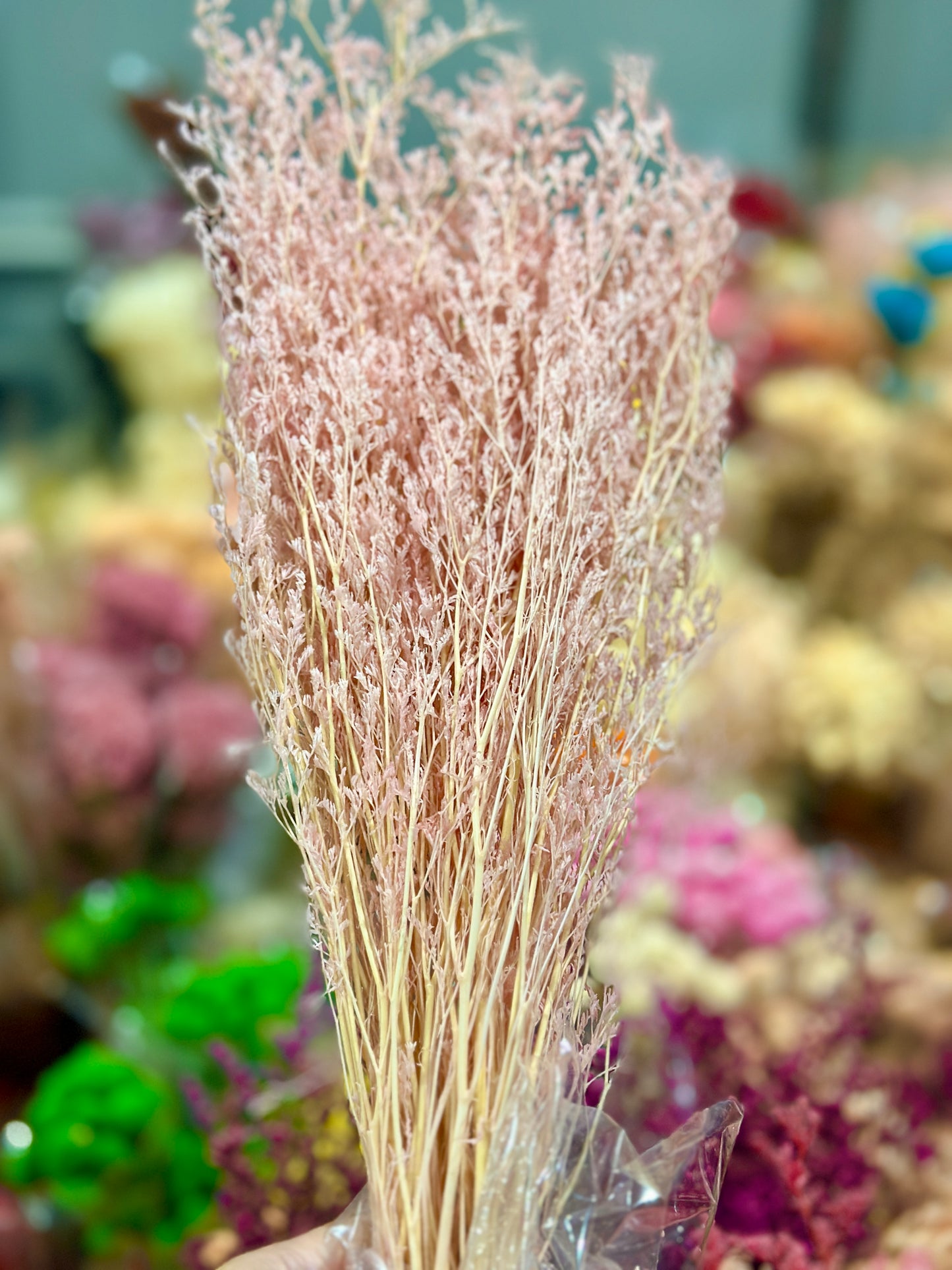 Dried Misty / Limonium