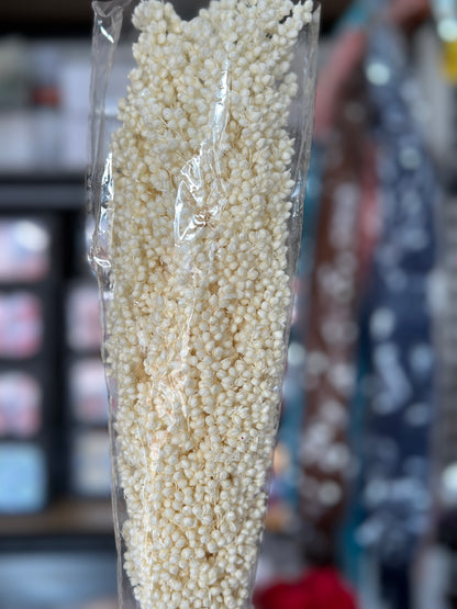 Sorghum