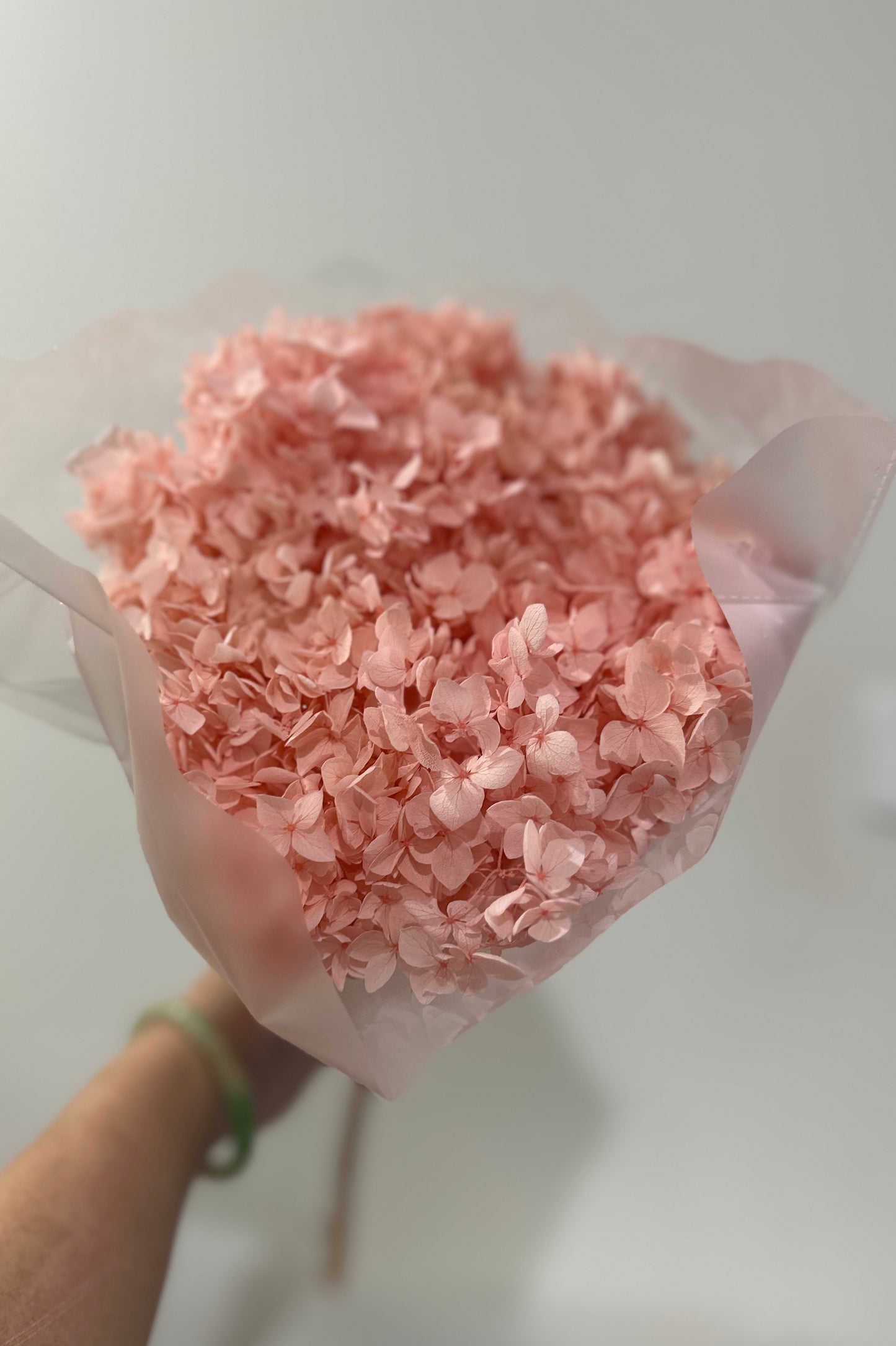 Anna Hydrangeas Big Bunch