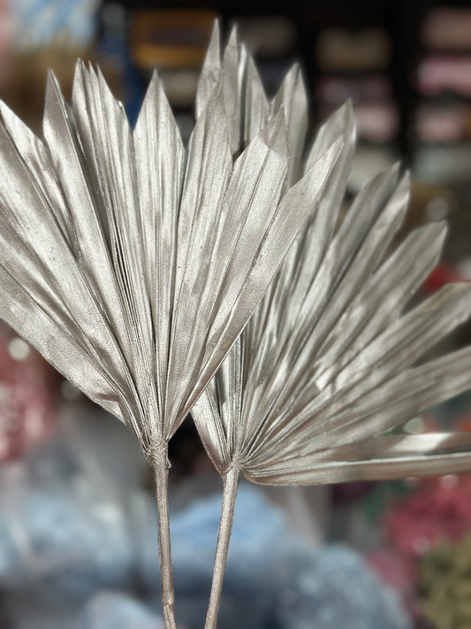 Beautiful Preserved Sun Palm Leaves