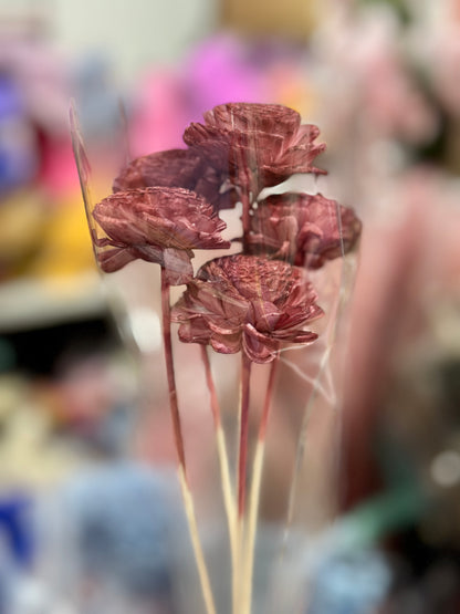 Sola Wood Flowers - Price per stem