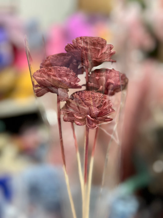 Sola Wood Flowers - Price per stem