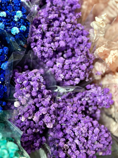 Baby's Breath