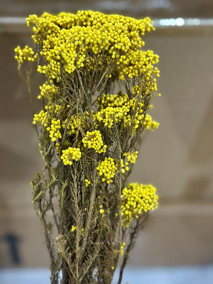 Rice Flowers