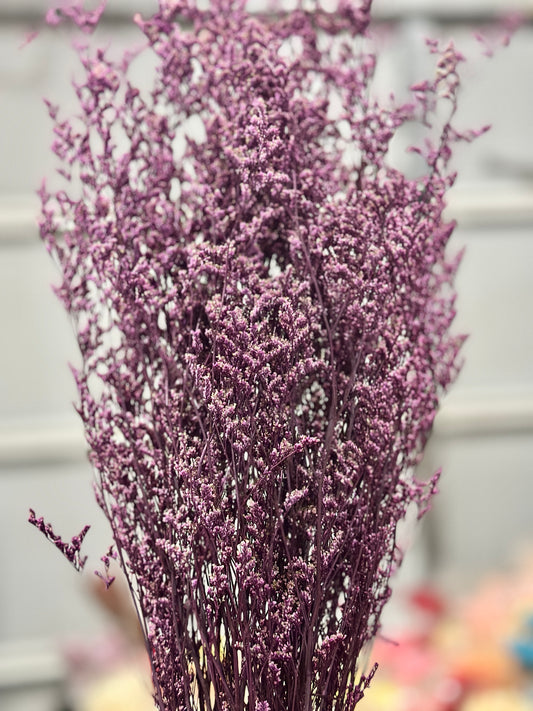 Dried Misty / Limonium