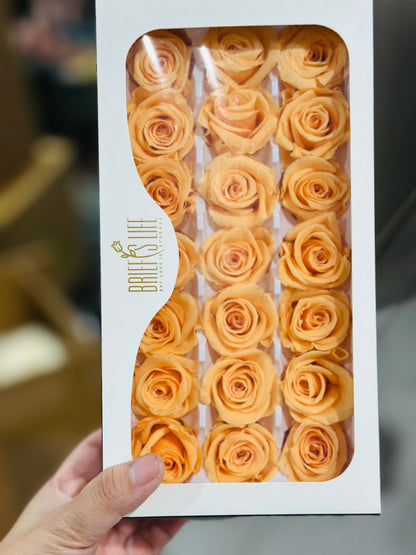 Preserved Roses - 21 pieces