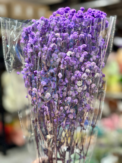 Baby's Breath