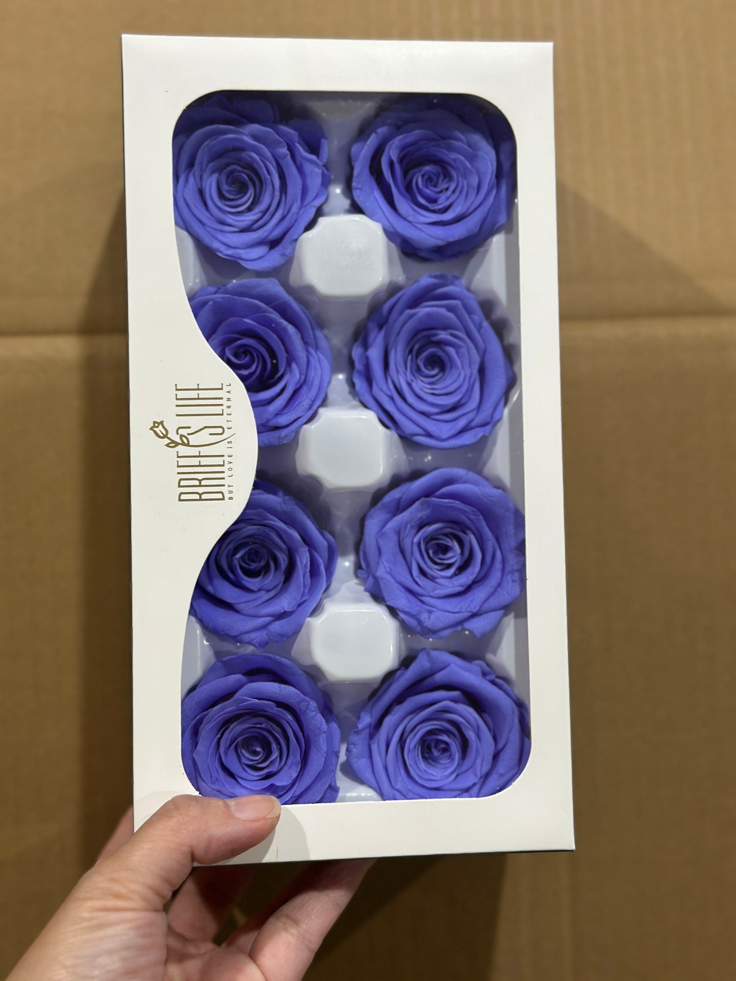 Grade A Preserved Roses 4cm (8 Roses/box)