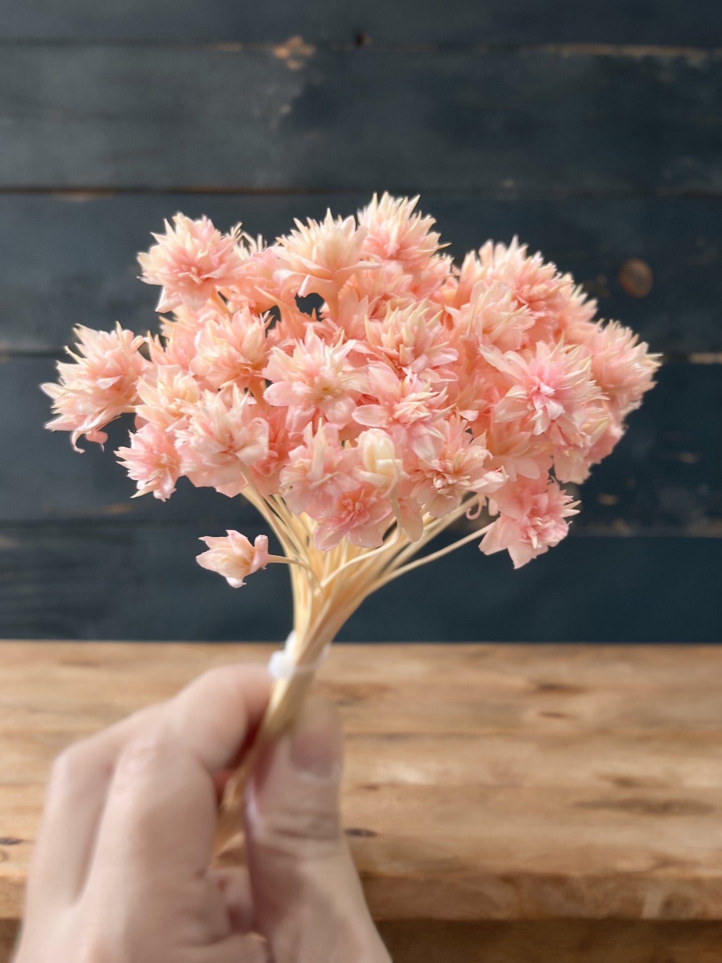 Star Flowers