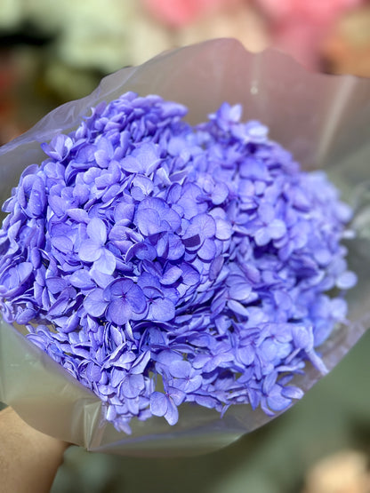 Anna Hydrangeas Big Bunch