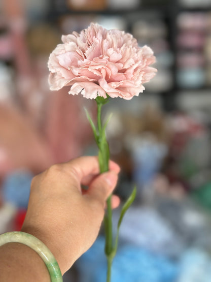 Silk Real Touch Carnations