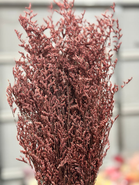 Dried Misty / Limonium