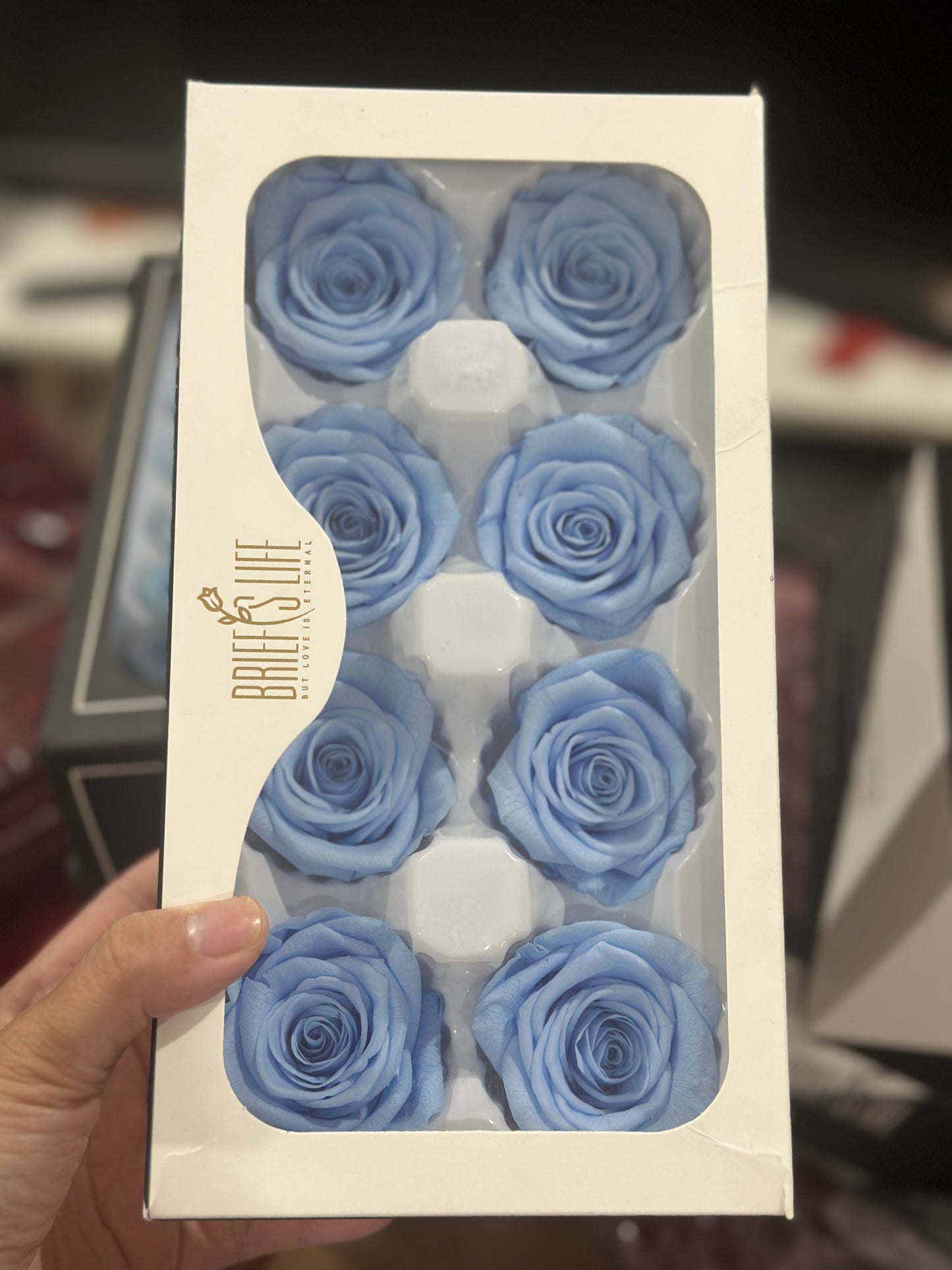 Grade A Preserved Roses 4cm (8 Roses/box)