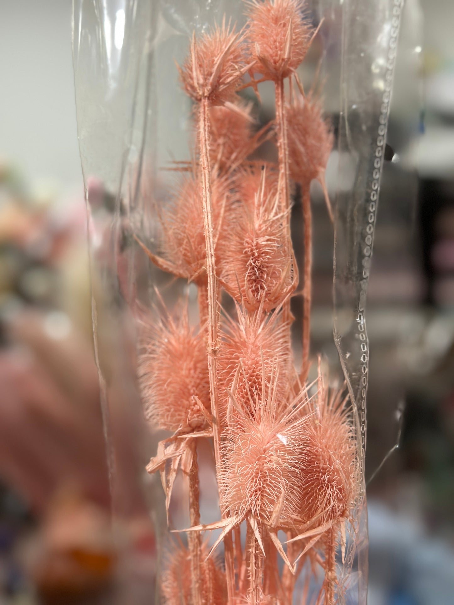 Teasels (Spray Heads)