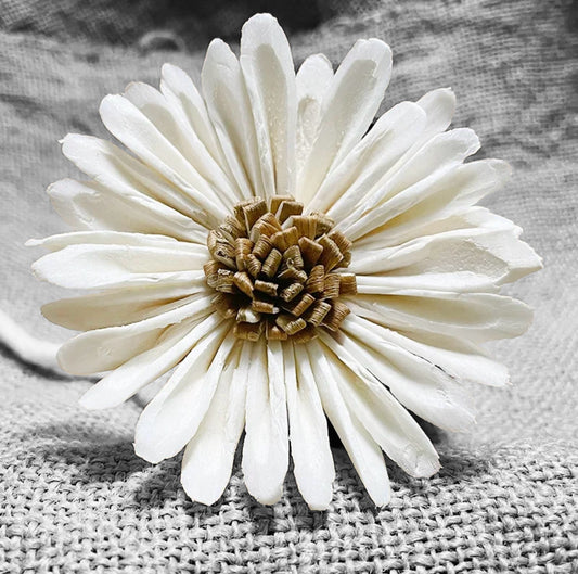 Sola Wood Flowers - Price per stem