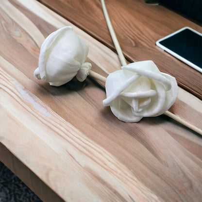 Sola Wood Flowers - Price per stem