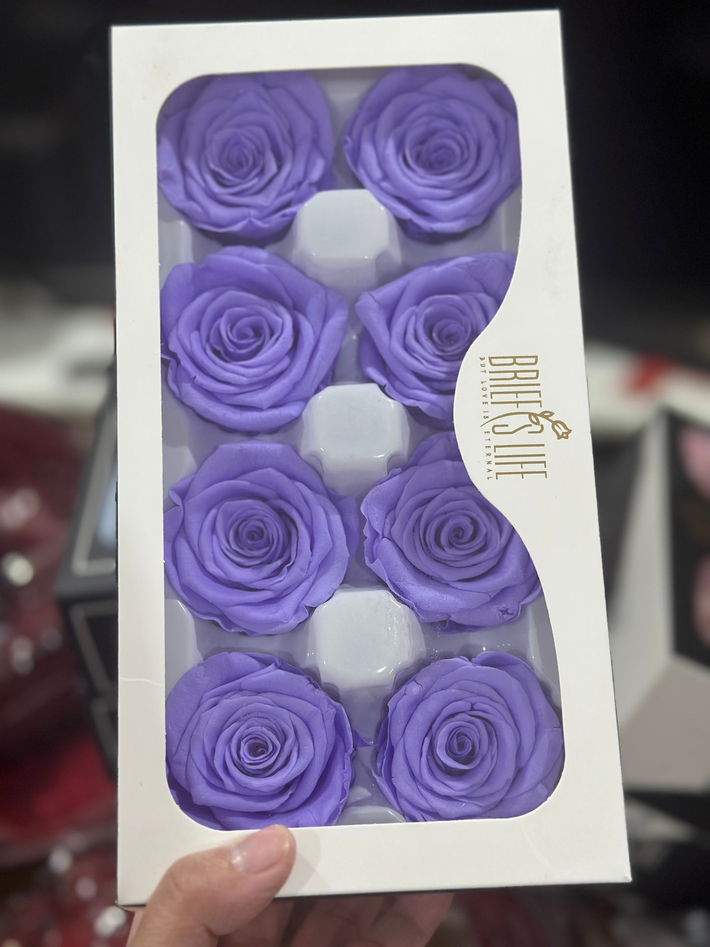 Grade A Preserved Roses 4cm (8 Roses/box)