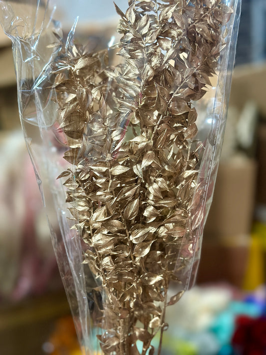 Dried Ruscus
