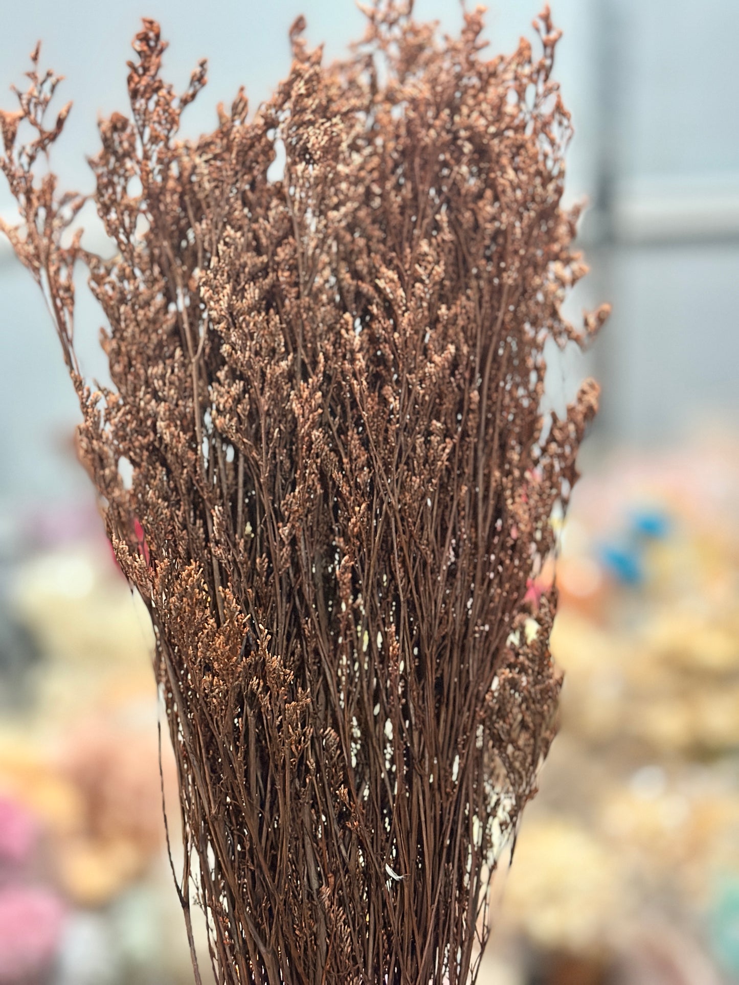 Dried Misty / Limonium