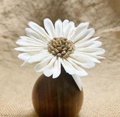 Sola Wood Flowers - Price per stem