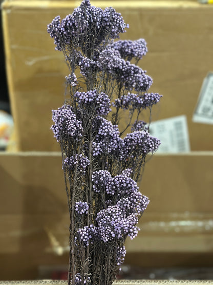 Rice Flowers