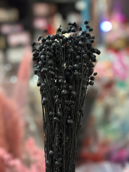 Preserved Flowers Rich Bean