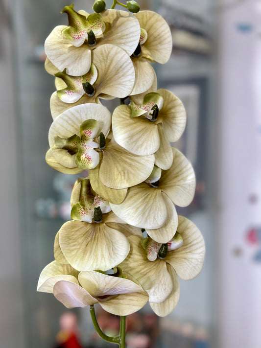 High Quality 3D Printed 9 Heads Orchids