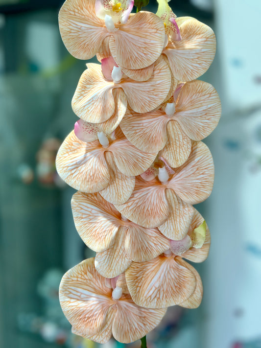 High Quality 3D Printed 9 Heads Orchids
