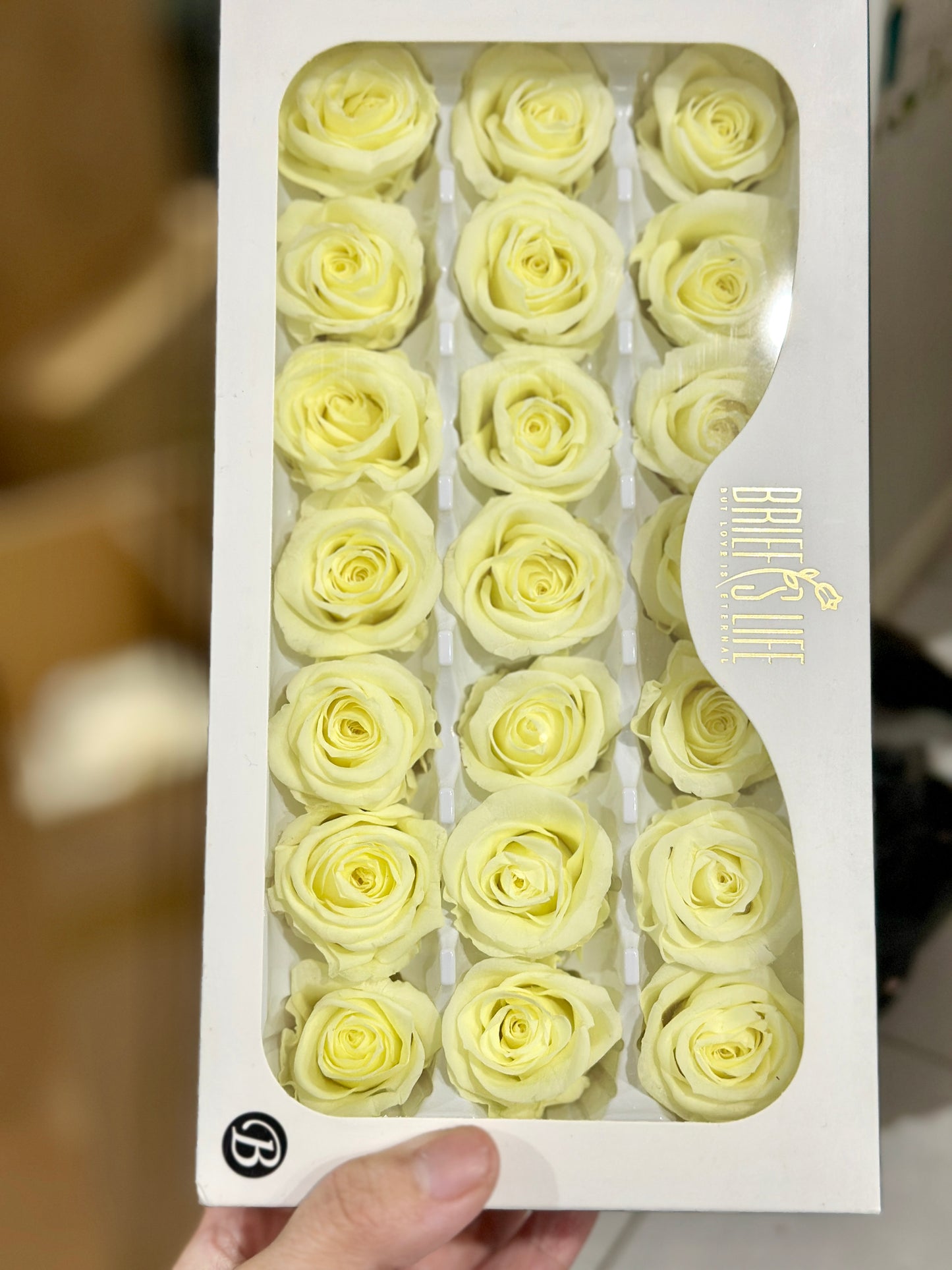 Preserved Roses - 21 pieces