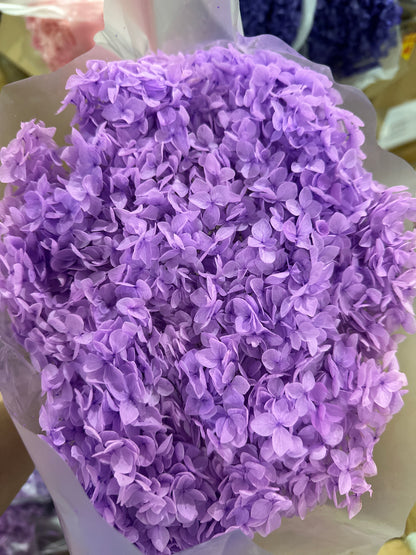 Anna Hydrangeas Big Bunch