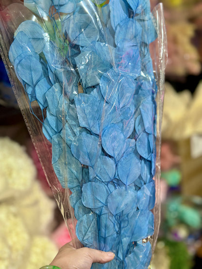 Preserved Poly Gum