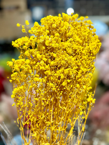 Baby's Breath