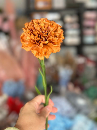 Silk Real Touch Carnations
