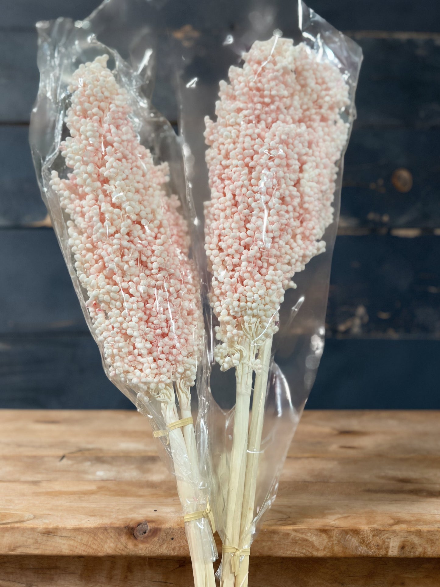 Sorghum