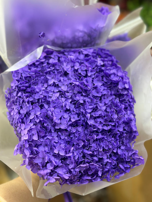 Anna Hydrangeas Big Bunch
