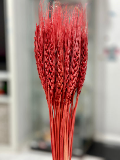 Dried Wheat