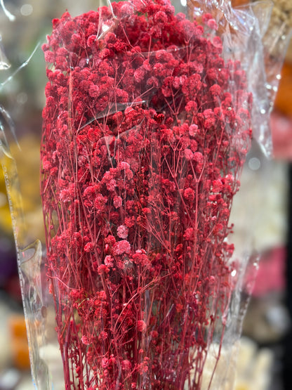 Baby's Breath