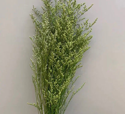 Dried Misty / Limonium