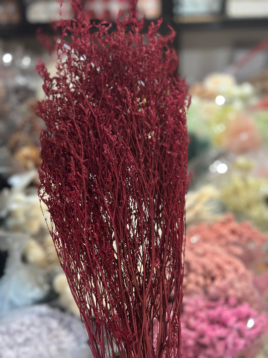 Dried Misty / Limonium