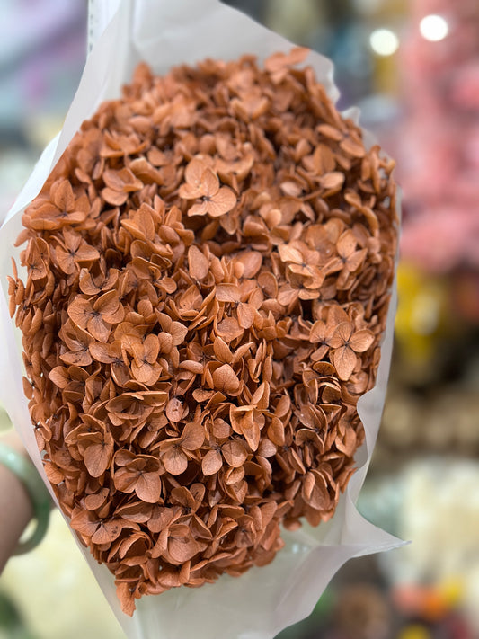 Anna Hydrangeas Big Bunch