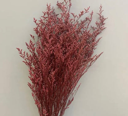 Dried Misty / Limonium