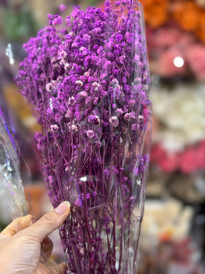 Baby's Breath
