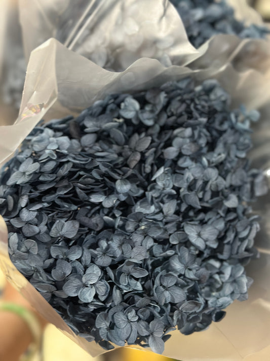 Anna Hydrangeas Big Bunch