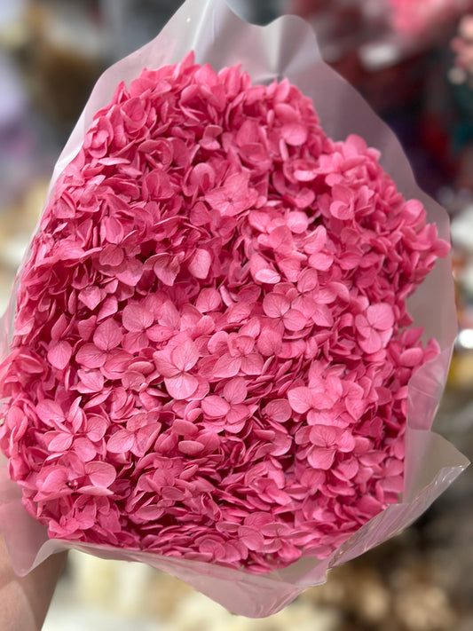 Anna Hydrangeas Big Bunch